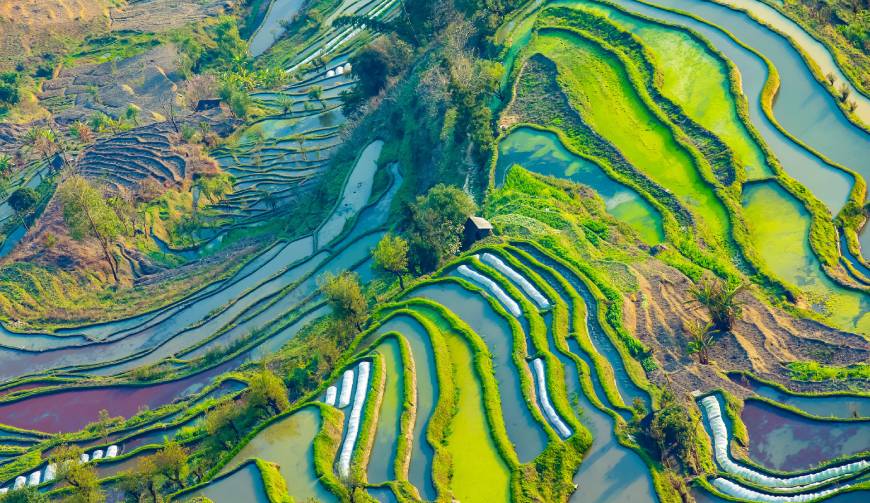 宝妈必备神器：黑河产品视频拍摄轻松育儿好帮手